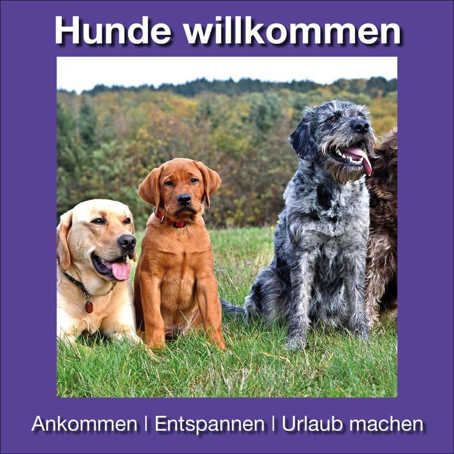 Ferienwohnung Beckendorf Losheim Buitenkant foto
